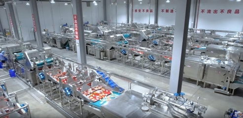 衛(wèi)龍透明工廠:全鏈條守護,打造品質(zhì)食品的新標(biāo)桿