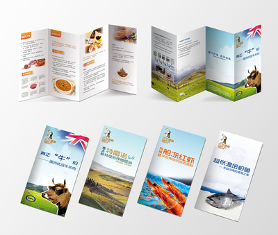 進口食品-產(chǎn)品宣傳折頁