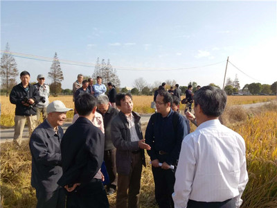 發揮學科優勢，助力崇明建設——化分學院分析-物化聯合黨支部“主題黨日”活動聚焦海水養殖技術研發