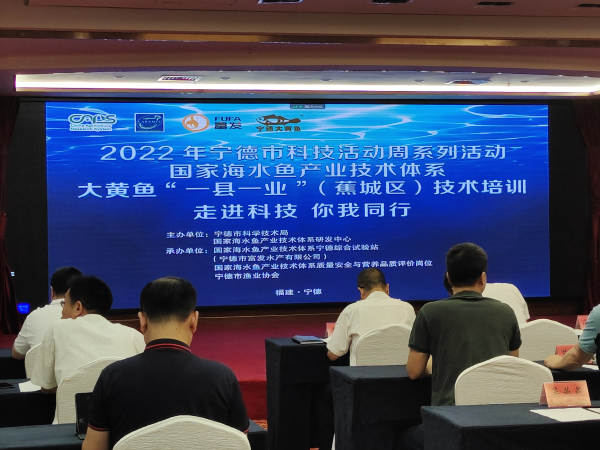 寧德聚力大黃魚“一縣一業(yè)” 技術培訓與研發(fā)雙輪驅動，引領海水養(yǎng)殖新篇章