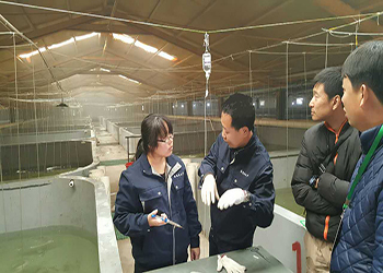 我國海水養(yǎng)殖技術新突破 告別'嗑藥'魚，首個海水魚活疫苗投產(chǎn)應用
