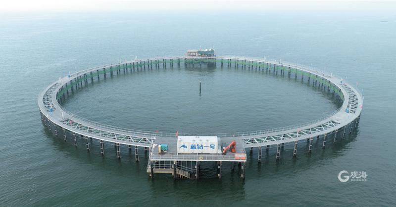 海水魚養(yǎng)殖 從“兩條魚”到“深遠海”的技術躍遷
