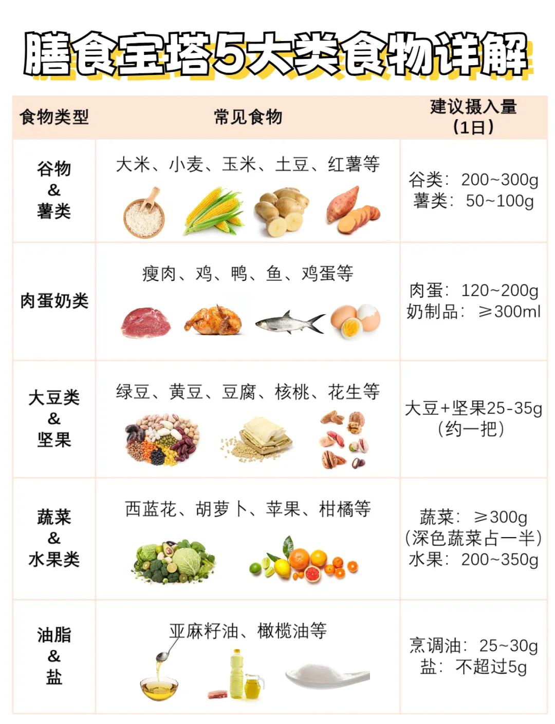 膳食指南 五大類食物營養全解析——邁向均衡營養的實踐之路